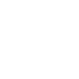 ce logo Rapid City